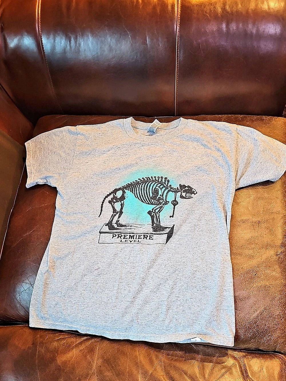 Kids They Might Be Giants Instant Fan Club Premiere Level Dinosaur T-Shirt L